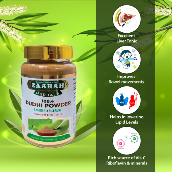 Dudhi Powder