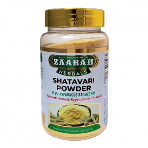 Shatavari Powder